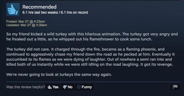 far cry 5 turkey steam review