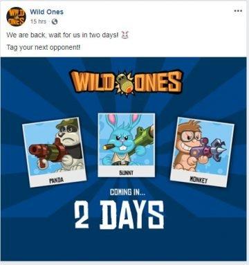 the wild ones facebook game