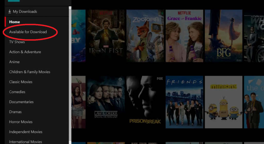 can you download netflix movies onto laptop