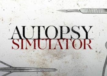 autopys simulator 990x720 1