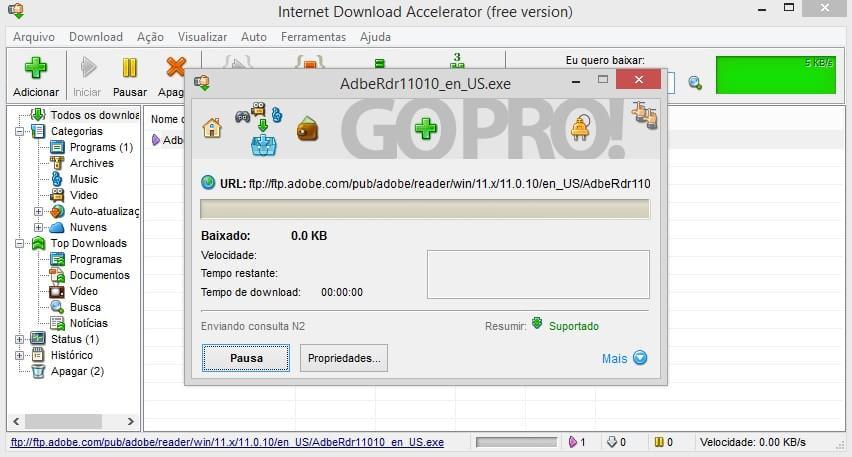 Internet Download Accelerator