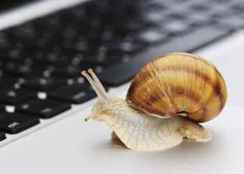 Slow Connection As A Snail