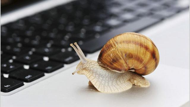 Slow Connection As A Snail