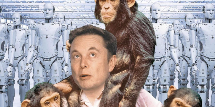 Elon Musk Monkey