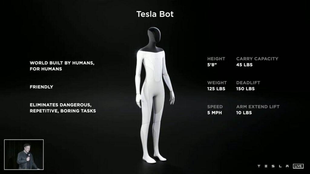 Tesla Bot 