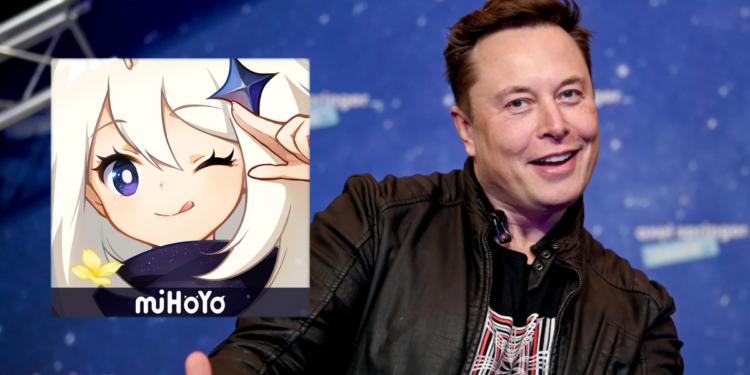 Genshin Impact Elon Musk