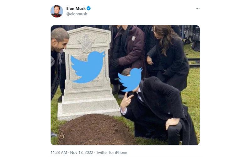Elon Musk Kantor Tutup Meme