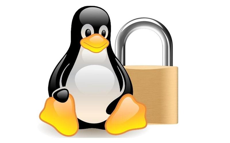 Sistem Keamanan Di Linux Berbeda