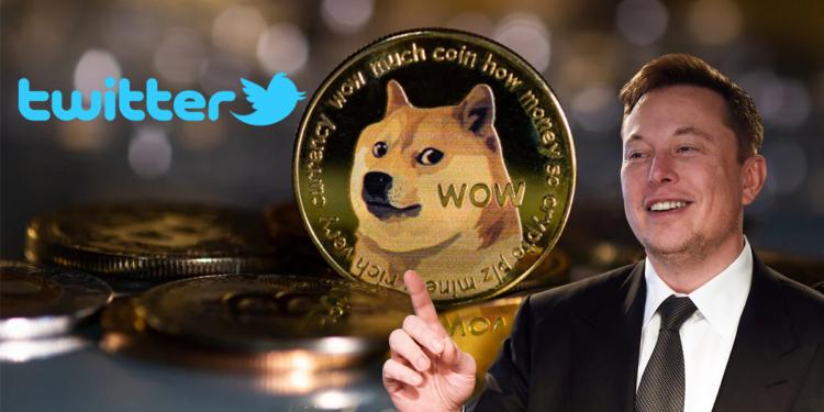 Gebrakan Lagi, Elon Musk Ganti Logo Burung Twitter jadi Anjing Dogecoin