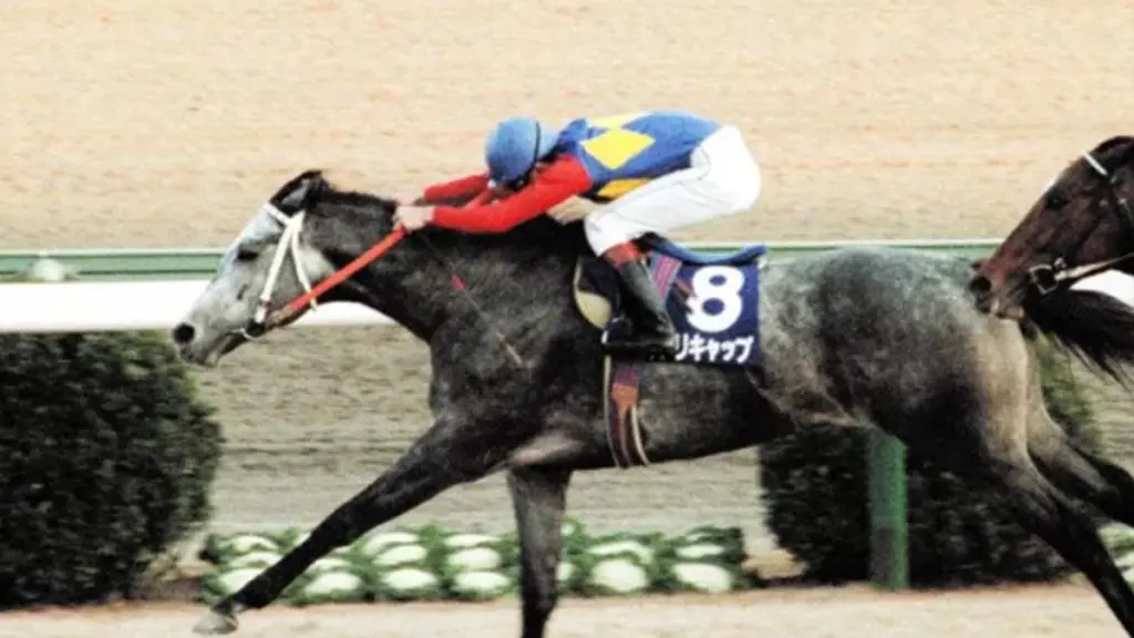 7 Fakta Menarik Oguri Cap Umamusume Pretty Derby 9 Triumphant Pulse